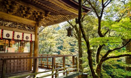🍱 A főzés mint szertartás – A japán washoku lelke és öröksége