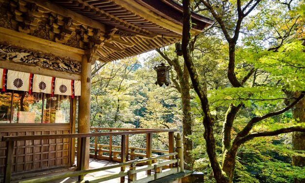 🍱 A főzés mint szertartás – A japán washoku lelke és öröksége