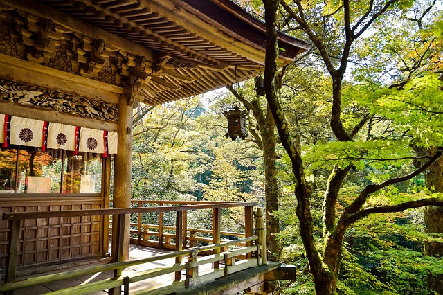 🍱 A főzés mint szertartás – A japán washoku lelke és öröksége